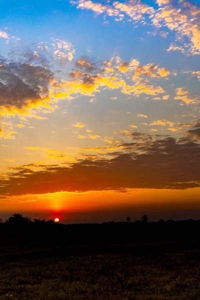 Tiro Vertical Belo Campo Coberto Grama Sob Pôr Sol Deslumbrante — Fotografia de Stock