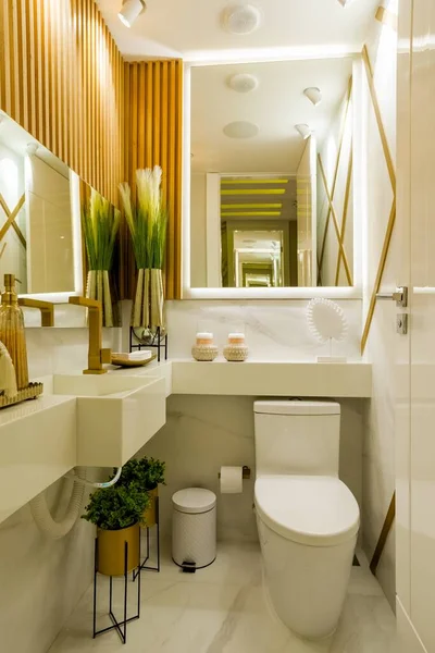 Una Toma Vertical Del Baño Luminoso Con Interior Moderno —  Fotos de Stock