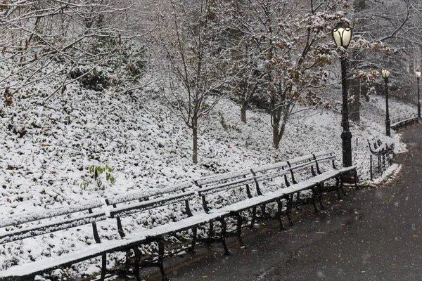 Snöig Central Park Parkera Vägar Ett Snöfall — Stockfoto