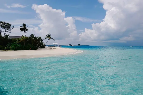 Μια Εκπληκτική Φωτογραφία Της Τροπικής Παραλίας Μαλδίβες Φοίνικες Κάτω Από — Φωτογραφία Αρχείου