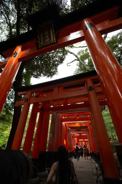 Plano Vertical Bajo Ángulo Del Santuario Fushimi Inari Taisha Kyoto — Foto de Stock