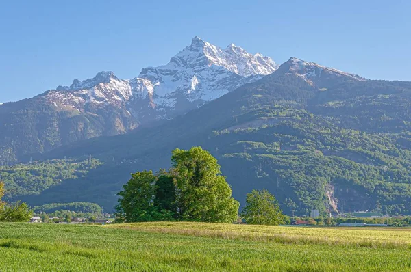 Sviçre Valais Yeşilliklerle Çevrili Güzel Bir Dents Midi Dağı Manzarası — Stok fotoğraf