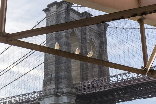 別の視点からブルックリン橋 鉄構造を介してアーチの一つの側面ビュー — ストック写真