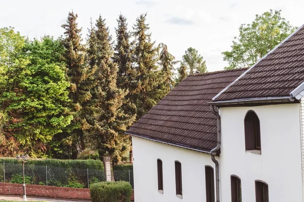 Huset Omgivet Träd Fältet Den Blå Himlen — Stockfoto