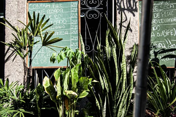 Primer Plano Menú Bar Río Janeiro Brasil Con Plantas Primer — Foto de Stock