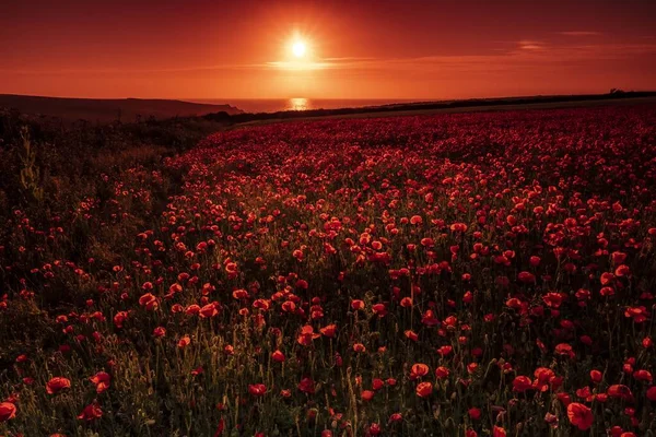 Ngiltere Nin Cornwall Kentindeki Kırmızı Günbatımında Atlantik Okyanusu Nun Altında — Stok fotoğraf