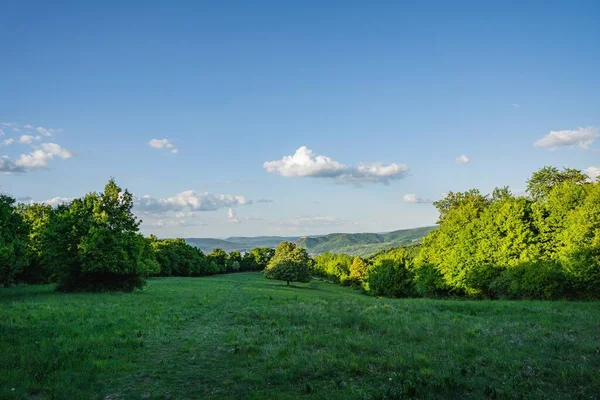 Uma Bela Vista Campo Grama Árvores Com Montanhas Fundo — Fotografia de Stock