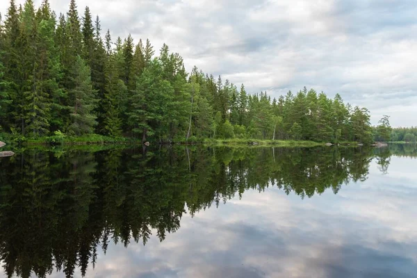 Het Prachtige Vanernmeer Omringd Door Talrijke Dennenbomen Zweden — Stockfoto