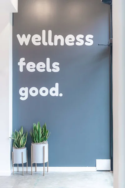 Vertical Shot White Text Written Gray Wall Wellness Feels Good — Stock Photo, Image