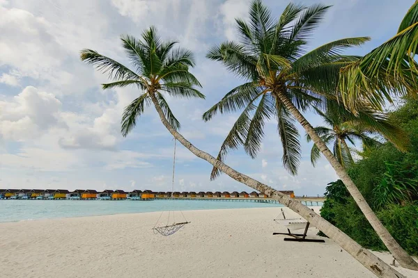 位于巴哈环礁岛美丽的热带马尔代夫海滩 一张挂在椰子树下的秋千的漂亮照片 — 图库照片