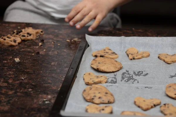 Una Toma Ángulo Alto Una Persona Haciendo Galletas Chispas Chocolate — Foto de Stock