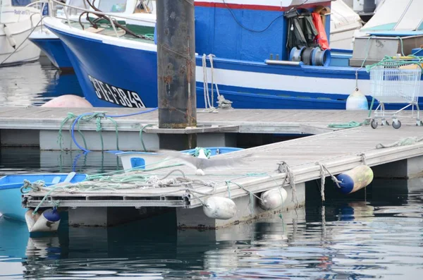 Belo Tiro Uma Gaivota Cais Com Pequenos Barcos Água — Fotografia de Stock