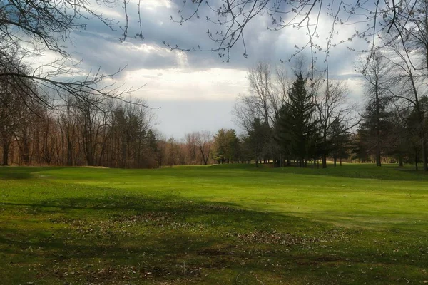 Une Belle Vue Sur Les Arbres Dans Champ Herbe Par — Photo