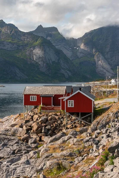 Vertikální Záběr Červené Chalupy Pobřeží Hamny Lofotenské Ostrovy Norsko — Stock fotografie