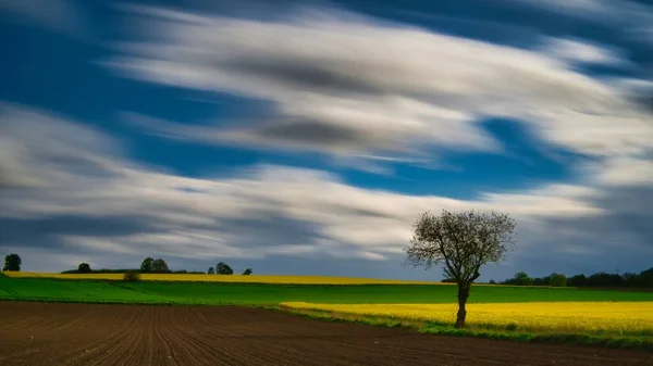 Cielo Azul Borroso Sobre Hermoso Campo Amarillo Verde —  Fotos de Stock