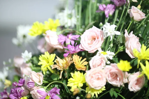 Een Close Shot Van Mooie Gele Roze Bloemen Onder Het — Stockfoto