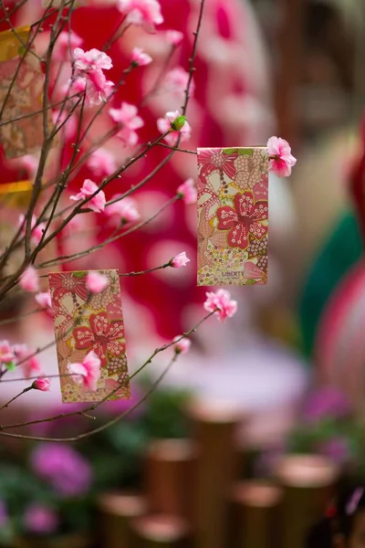 Eine Vertikale Nahaufnahme Von Blühenden Pfirsichblütenblumen Mit Rotem Umschlag Der — Stockfoto