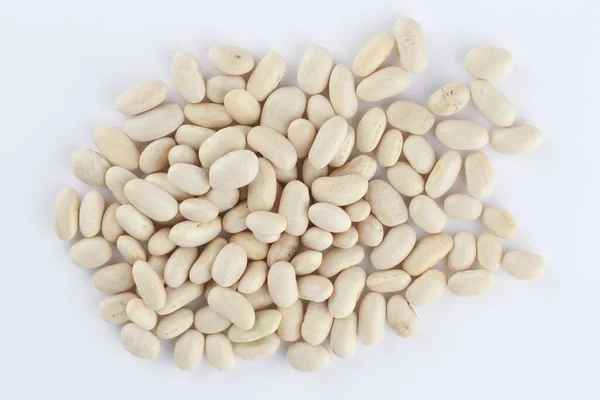 Closeup Raw Navy Beans Lights Isolated White Background — Stock Photo, Image