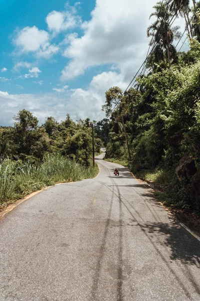 Una Strada Con Foresta Tropicale Brasile — Foto Stock