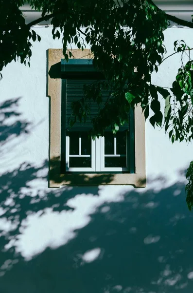 Vertikal Bild Ett Fönster Bakom Trädet — Stockfoto