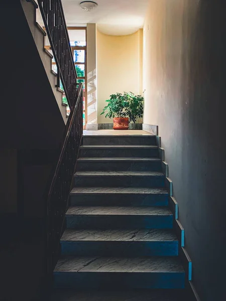 Egy Függőleges Lövés Lépcsőkről Egy Épületben Napfényben — Stock Fotó