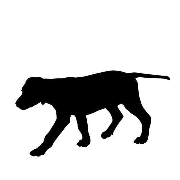 Beyaz Arka Planda Izole Edilmiş Yürüyen Bir Köpeğin Silueti — Stok fotoğraf