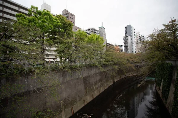 曇りの灰色の空の下で都市の運河の近くの美しい近代的な建築物 — ストック写真