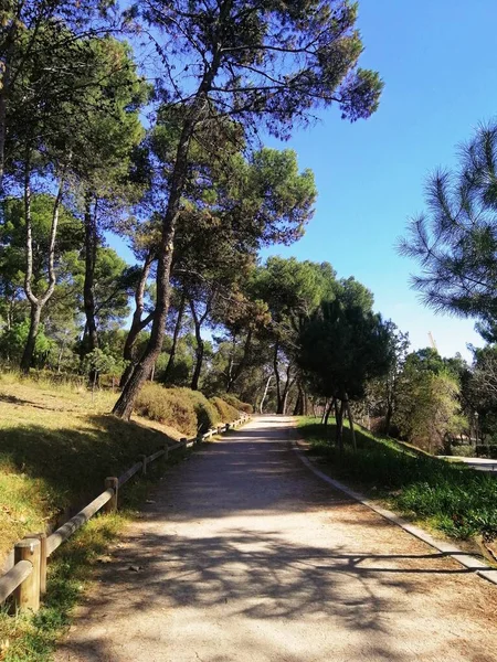 Uma Fotografia Vertical Caminho Parque Quinta Los Molinos Madrid Espanha — Fotografia de Stock