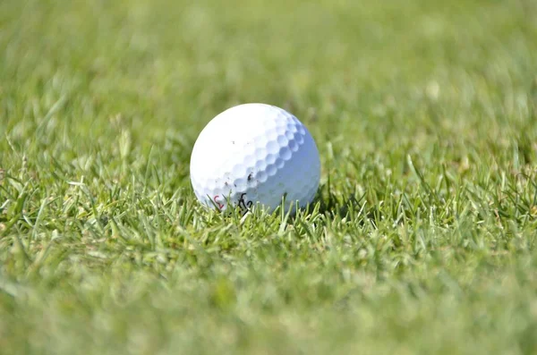 Tiro Foco Seletivo Grama Verde Com Uma Bola Golfe Luz — Fotografia de Stock