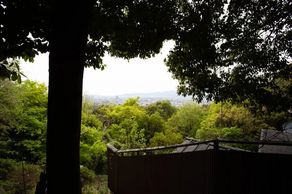 Een Uitzicht Met Veel Bomen Met Uitzicht Stad — Stockfoto