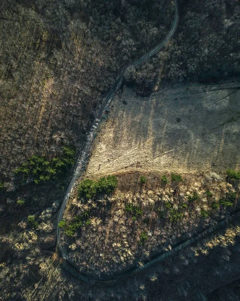 Vzdušný Výhled Cestu Obklopenou Skalami Stromy — Stock fotografie