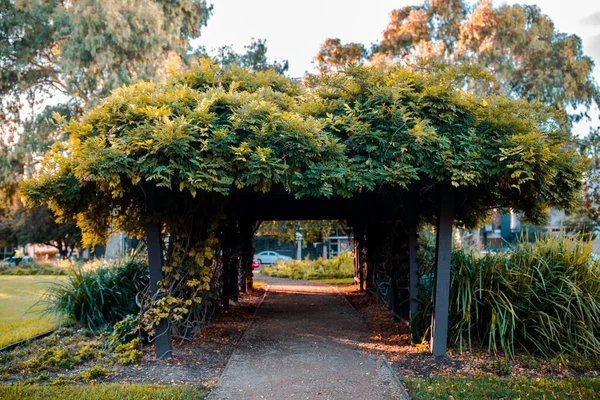 植物とアーチを通って行く公園の通路の美しいショット — ストック写真