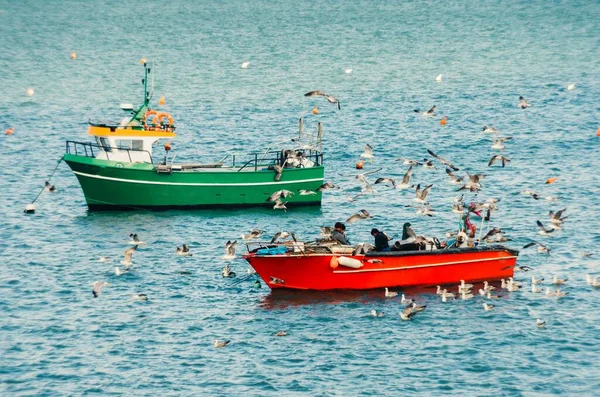 Лодки Море Чайками Летят Над Ними Солнцем Дневное Время — стоковое фото