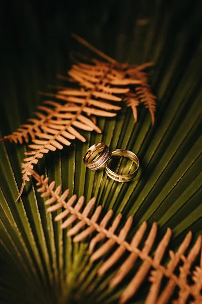 Tiro Vertical Anel Casamento Dourado Uma Superfície Folha — Fotografia de Stock
