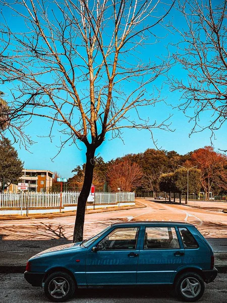 Vertical Shot Blue Car Leafless Tree — Stock Photo, Image