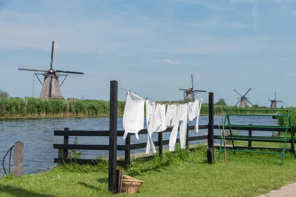 Kinderdijk Nederland Jun 2019 Zicht Tuin Met Kleding Drogen Een — Stockfoto