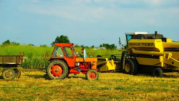 Récolte Blé Dans Une Journée Été Avec Vieux Tracteur Roumanie — Photo