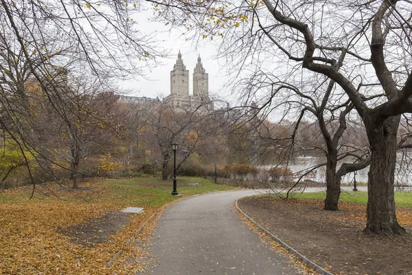 Stezky Centrálním Parku Během Podzimu Plné Zlatých Listů — Stock fotografie