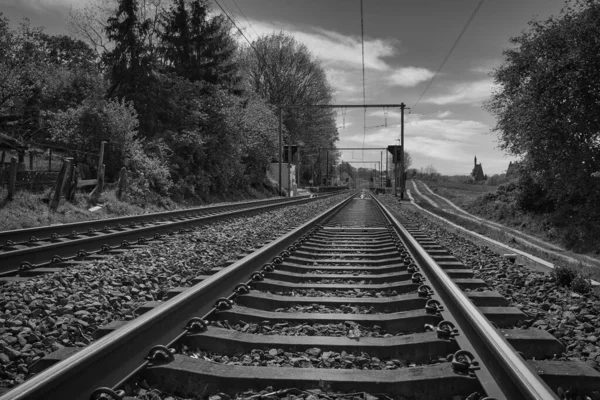 Graustufenaufnahme Von Bahngleisen Unter Wolkenverhangenem Himmel — Stockfoto