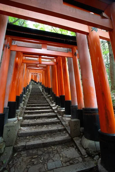 Une Image Verticale Des Portes Rouges Torii Fushimi Inari Taisha — Photo