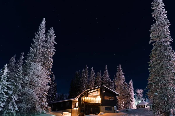 Vista Cautivadora Casa Los Árboles Cubiertos Nieve Bajo Cielo Estrellado — Foto de Stock