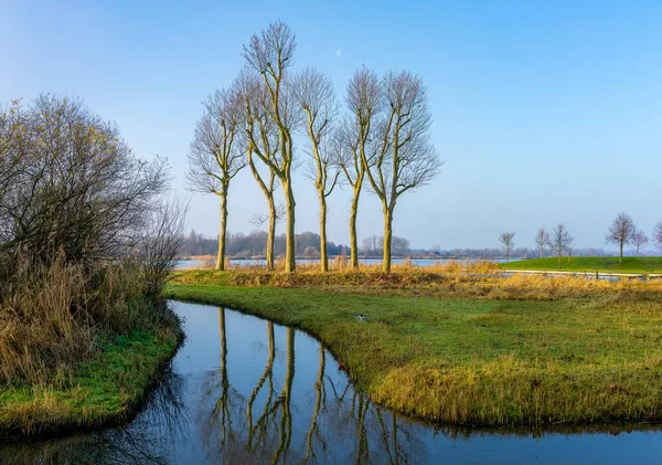 Rozważanie Drzew Pobliżu Poldera Koło Utrechtu Słoneczny Dzień Grudnia — Zdjęcie stockowe