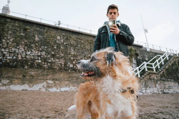 Ung Man Som Fotograferar Sin Hund Stranden — Stockfoto