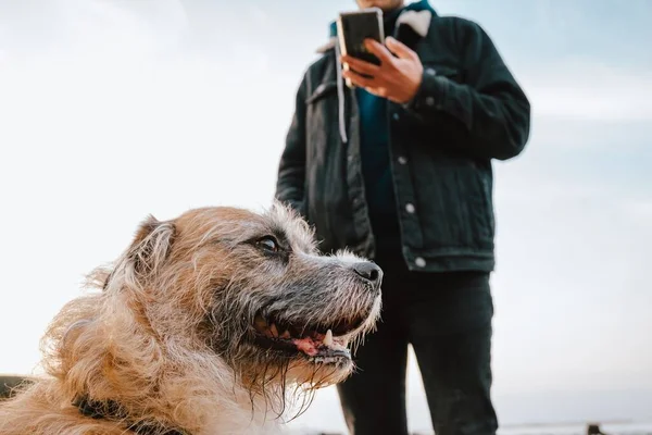 Genç Bir Adam Sahilde Köpeğinin Fotoğraflarını Çekiyor — Stok fotoğraf