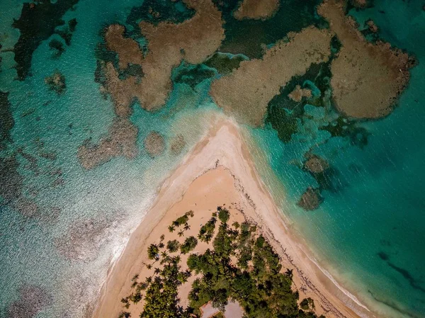 Luftutsikt Över Den Tropiska Stranden Samana Halvön Abra Grande Bahia — Stockfoto