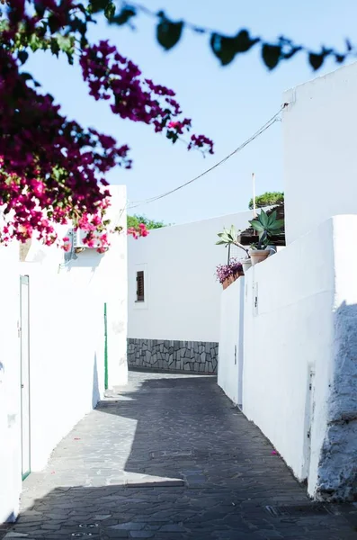 Uma Pequena Rua Típica Com Casas Brancas Ilha Stromboli Sicília — Fotografia de Stock