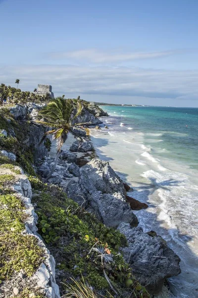 Μια Όμορφη Κάθετη Λήψη Του Parque Nacional Tulum Στο Μεξικό — Φωτογραφία Αρχείου