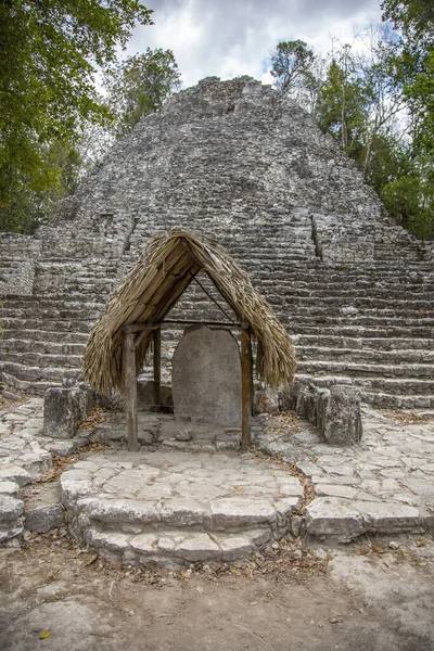 Vertical Shot Coba Mayan Pyramid Mexico Surrounded Trees — Stock Photo, Image