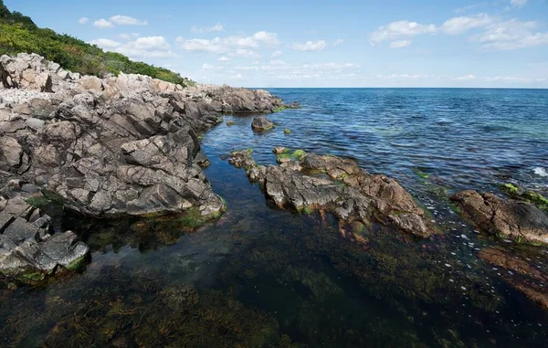 Камни Покрытые Зеленью Окруженные Морем Солнечным Светом Голубым Небом Дневное — стоковое фото