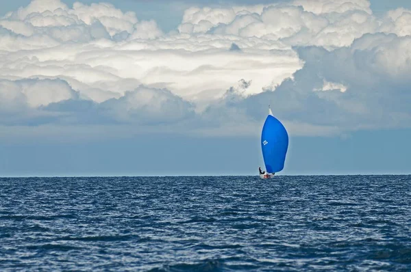 Frutillar Chile Fev 2019 Veleiros Que Navegam Participando Uma Regata — Fotografia de Stock